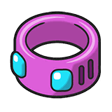 Picture of the power anklet