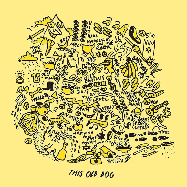 Album cover for "This Old Dog" by Mac DeMarco
